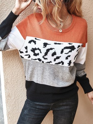 Women Color Block   Leopard Round Neck Long Sleeve Casual Sweaters